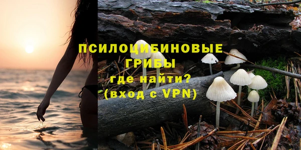 прущие грибы Белокуриха
